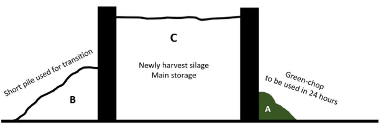 diagram explained in caption